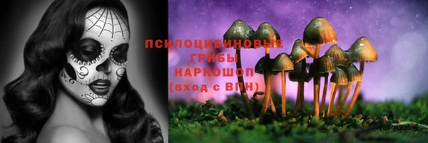 первитин Новокубанск