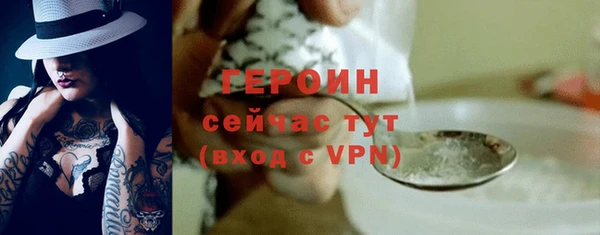 сатива Новодвинск