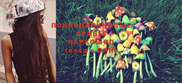 MESCALINE Аркадак