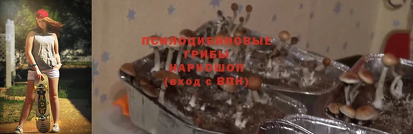 ешки Армянск