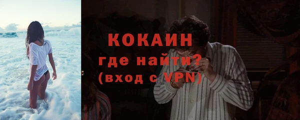 сатива Новодвинск