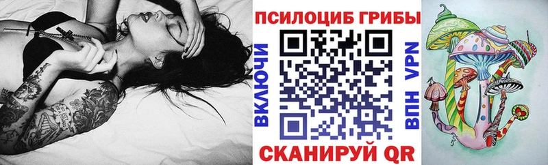 купить   Шали  Псилоцибиновые грибы Psilocybine cubensis 