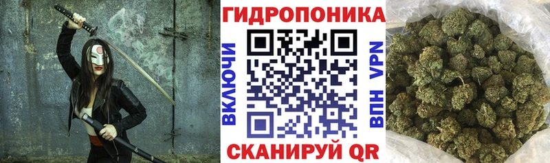 Шишки марихуана сатива  Шали 